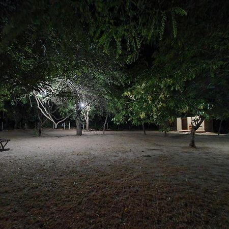 بولاناروفاي Clay Hut Village المظهر الخارجي الصورة